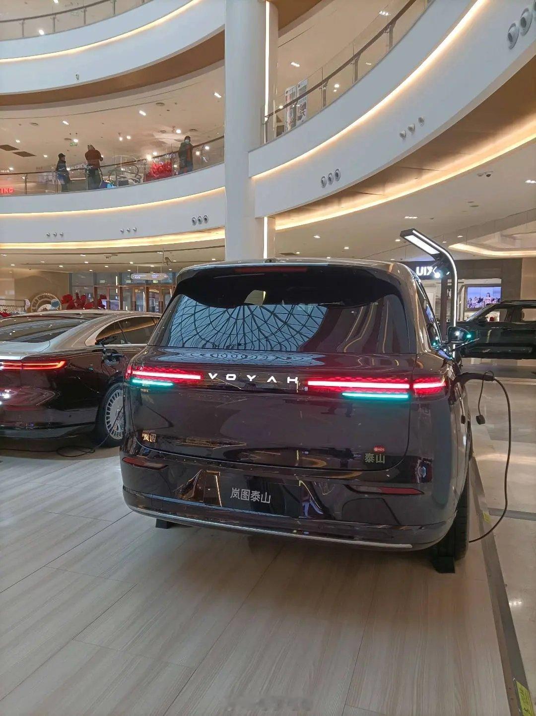 海豚的海报海猴，比亚迪的汽车喜欢用各种各样的动物，最近又有一款国产新能源新势力喜