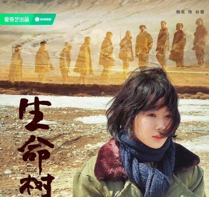 39岁身家过亿的杨幂在泥地里挑了几十担水，34岁片酬几千万的杨紫在高原晒脱三层皮