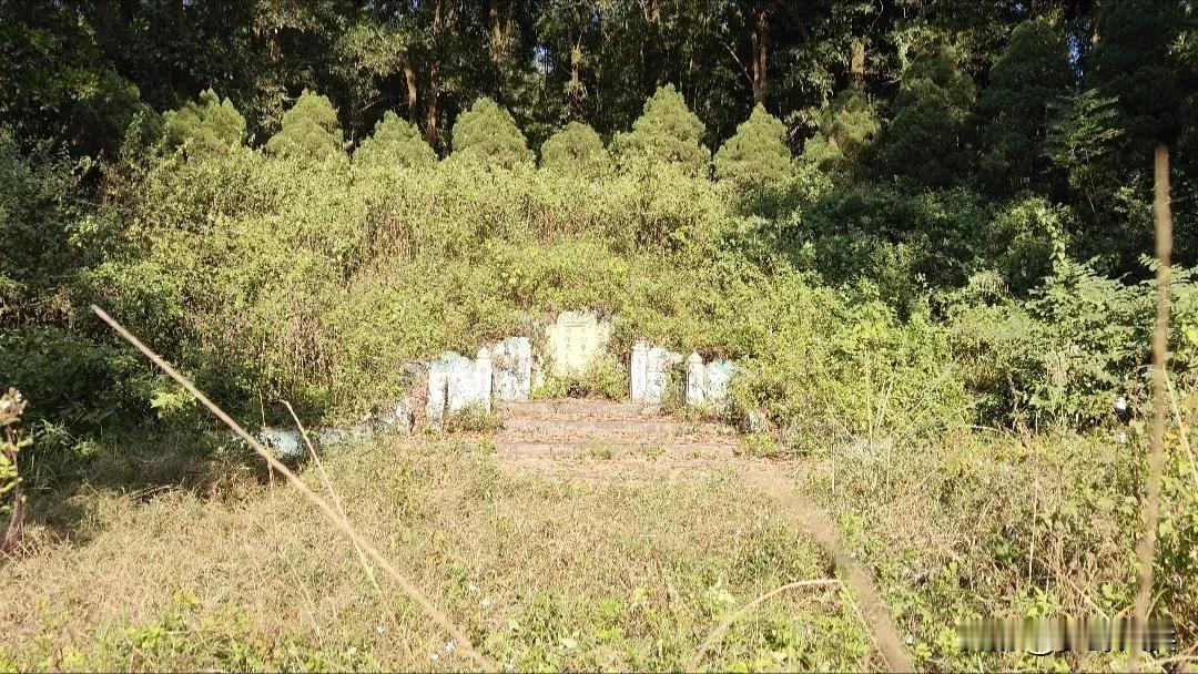 座落在惠州山里的一座土豪墓，墓葬周围种了一圈松柏树，非常壮观，据附近人说墓主人后