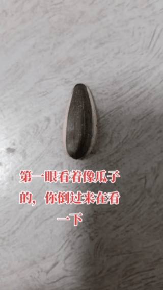 真会骗人，
我也被骗了！
就是一颗瓜子而已，
怎么看都是一颗瓜子！
偏偏听了主播