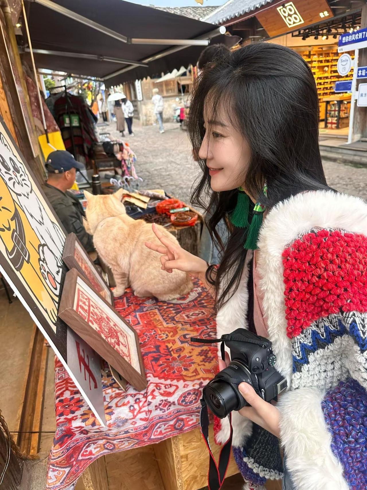 反之，我其实很丰富。我会为路边的小猫驻足，轻轻揉过它毛茸茸的脑袋；会举起相机，定