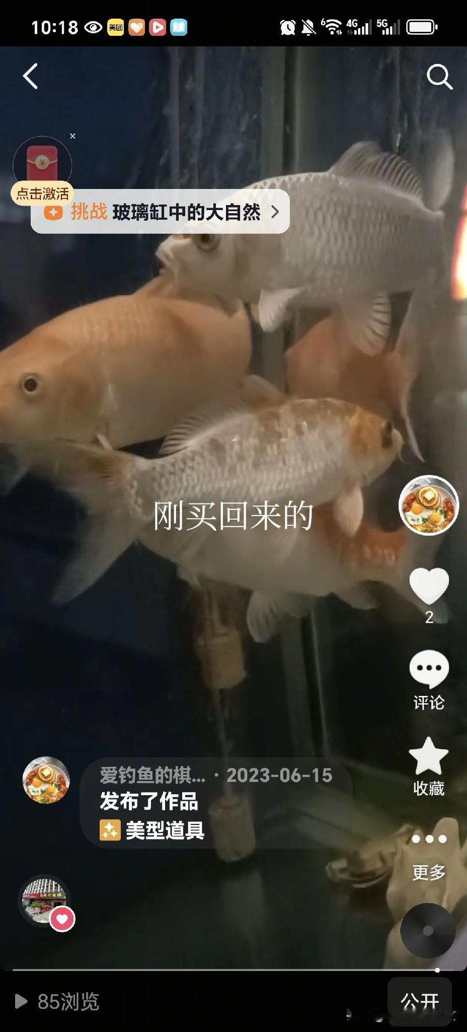 朋友返内地时送的鱼缸缸，底下带柜+下排水滤材设计，沉甸甸的满是心意，特意叫了货拉