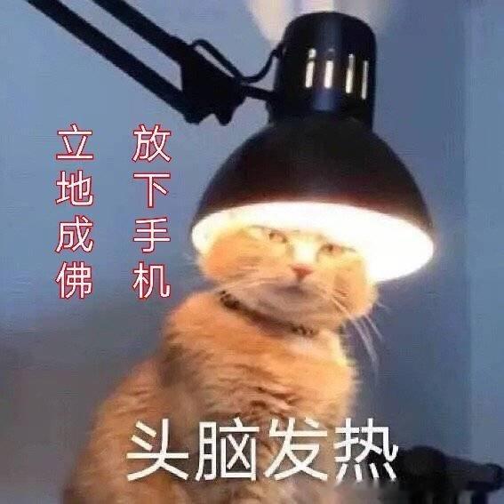 已知：水谷隼接了无数年，接到了小自己14岁的张本智合，也是拿了十个全日冠……同理