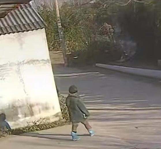 《随奶奶上坟走失的8岁女童化粪池遇难，亲属：70多岁的奶奶以泪洗面很自责，大家都