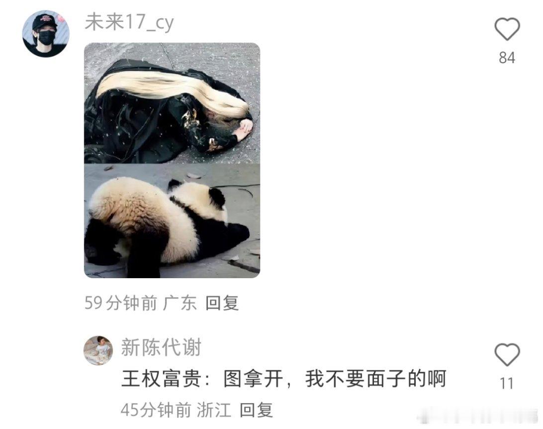 成毅好可爱的一只糯米团子他爹：你看看你现在的样子我：是啊帅的要亖啊！ ​​​