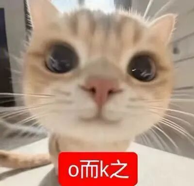 还好今晚可以看刘铮直播！ 