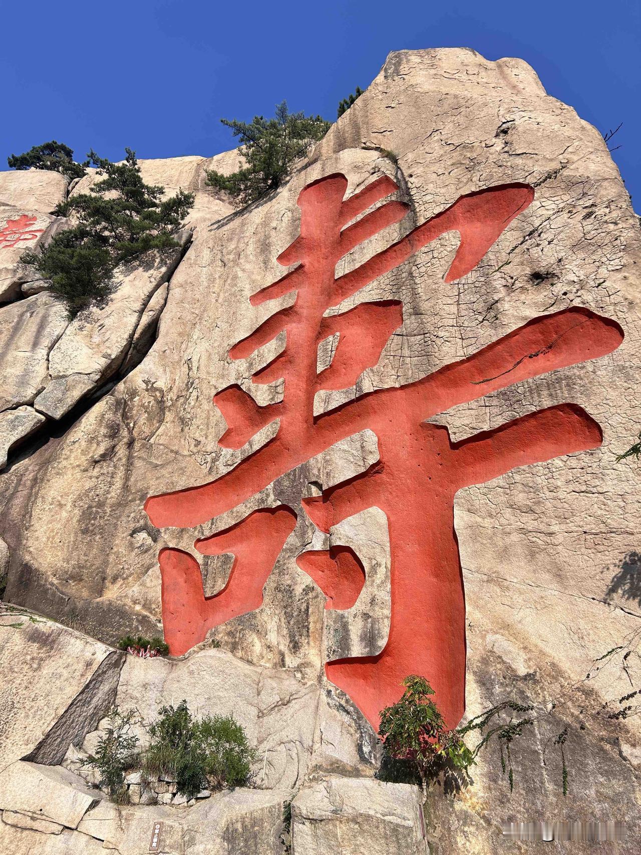 如果抛开薪资、不看收入，我最向往的工作，就是做一名自由的旅游自媒体。

成年人的
