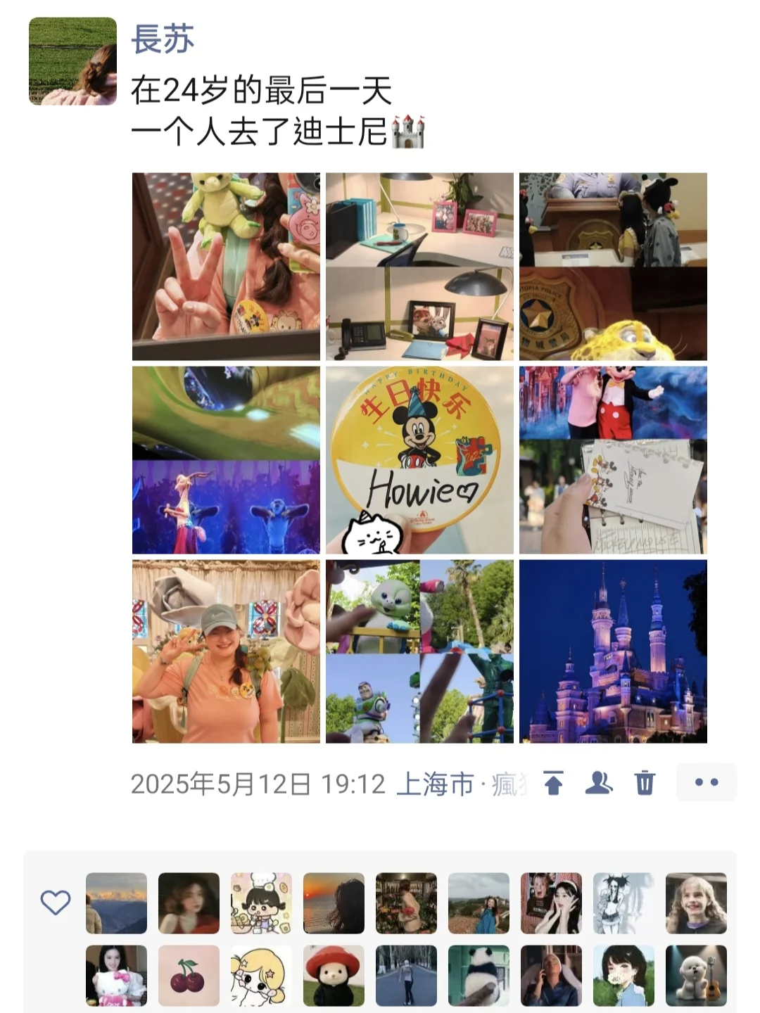 在24岁的最后一天一个人去了迪士尼