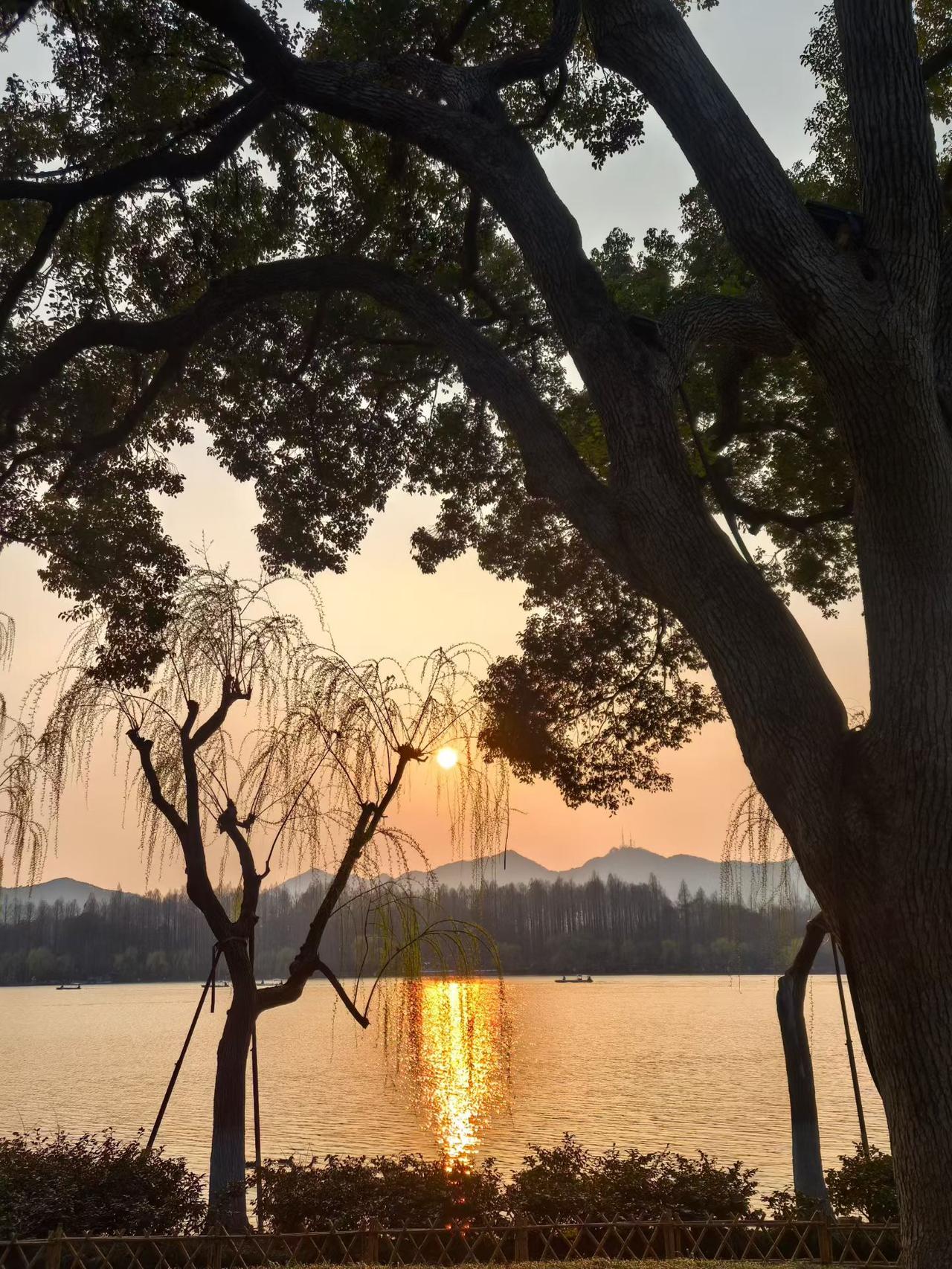 一定要懂得自愈，因为好起来的从来不是生活而是自己。不必为打翻的牛奶长久懊悔，不必