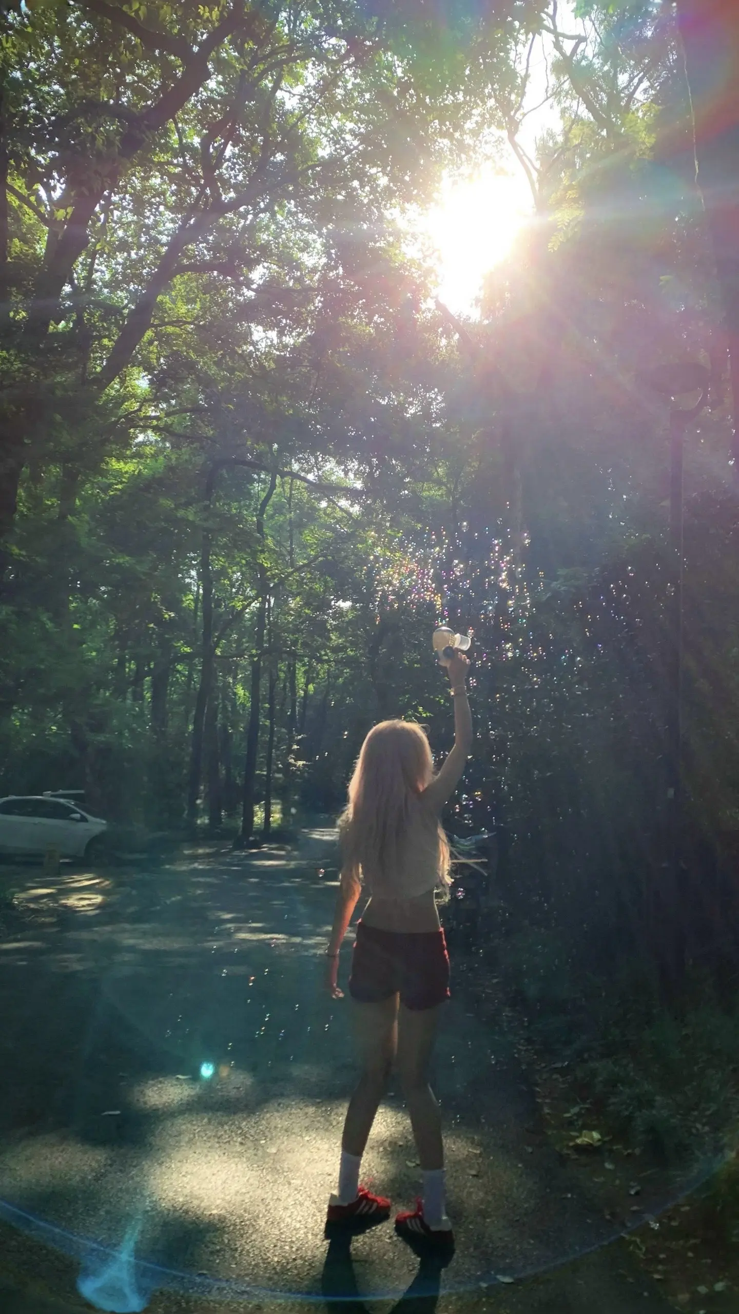 向上的生命力远比皮囊更有杀伤力。图文伙伴计划2024