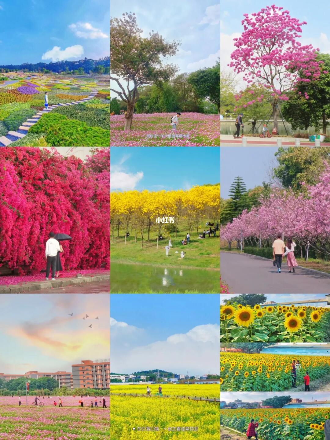 快收藏📮  东莞接下来的2月是这样的