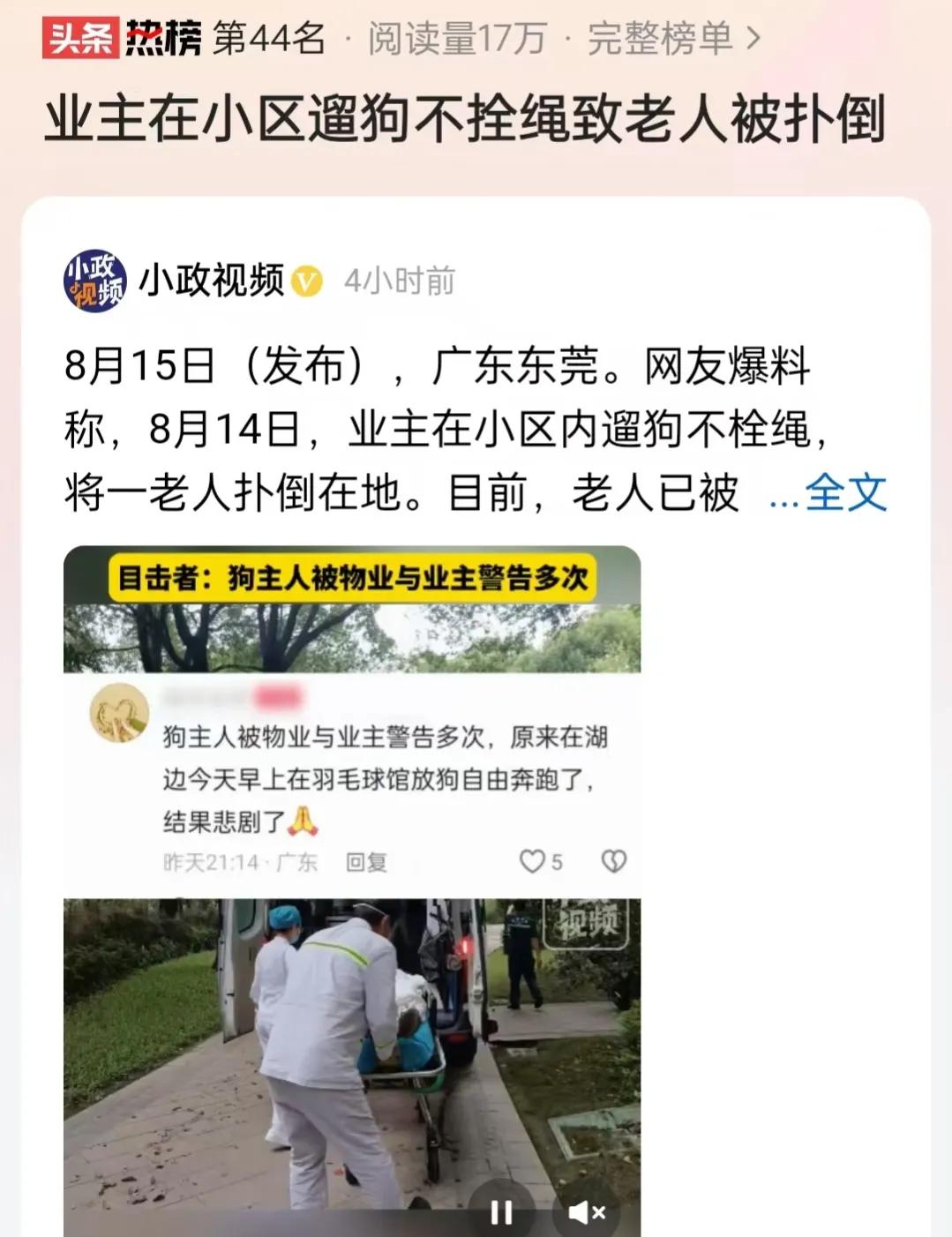 广东东莞，一小区的业主遛狗竟然没有栓狗绳，任由狗自由奔跑。想不到意外就这样发生了