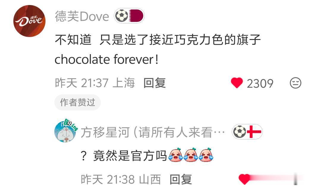 大家选世界杯旗子的理由都好有趣重在掺合 