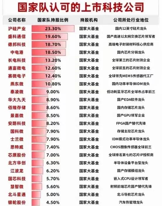 1. 国家队认可的上市科技公司

核心信息：

- 国家队持股比例较高的公司（部