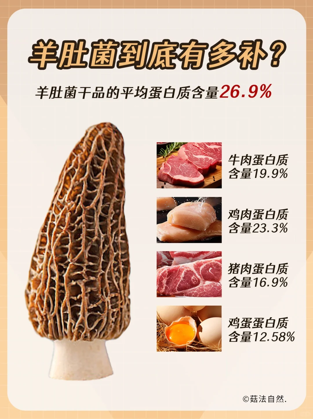 🔥儿童羊肚菌成长汤系列一周两次少生病❓