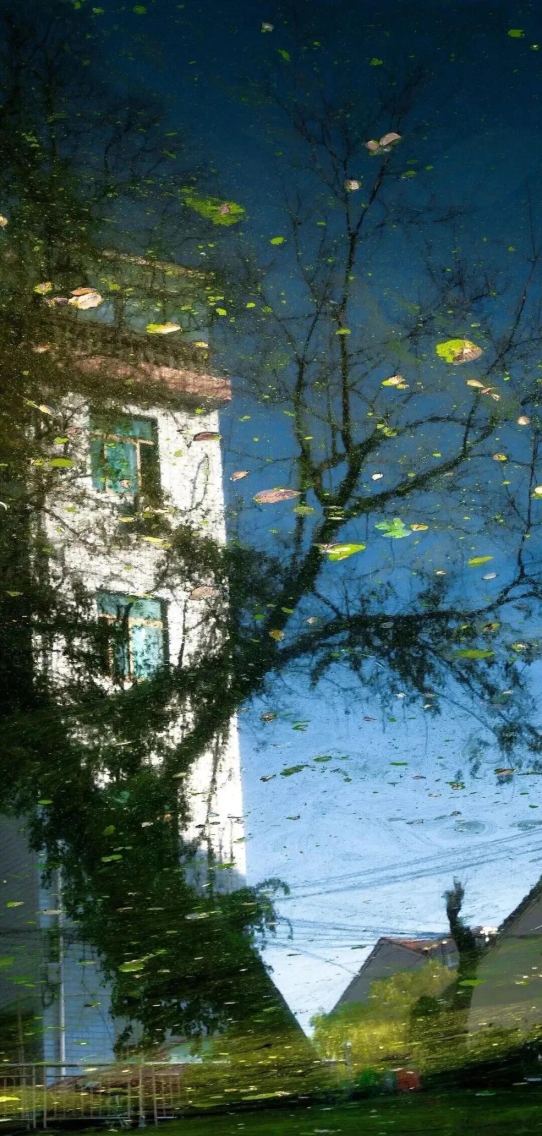 心里的火永远不要灭，哪怕别人只能看到烟。——梁实秋 ​​​