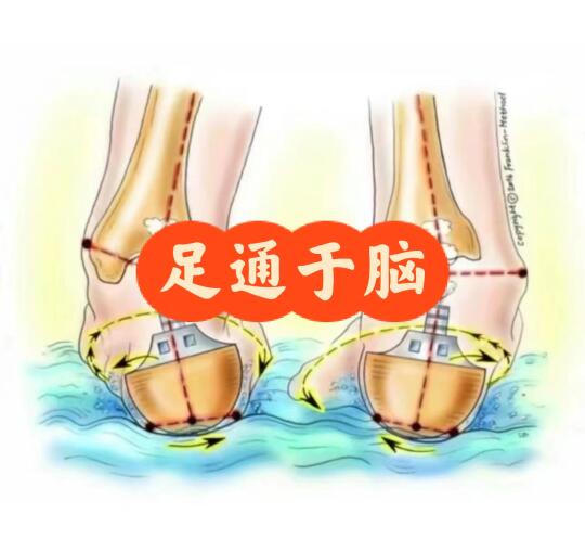 足通于脑