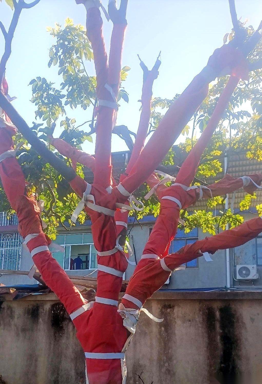 社交平台上流传着一张几乎让人窒息的成绩单：考研复试，差0.13分落榜。
这个数字
