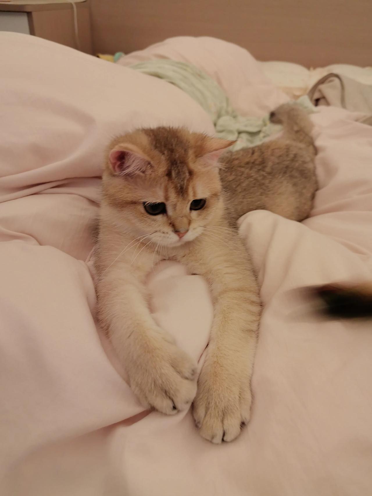 一个家庭，父母的影响重要吗