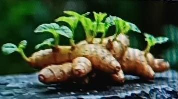 想补蛋白身体好，这八道高蛋白美食必须试试。
豆腐香菇蒸鸡腿肉，把去骨鸡腿切块腌制