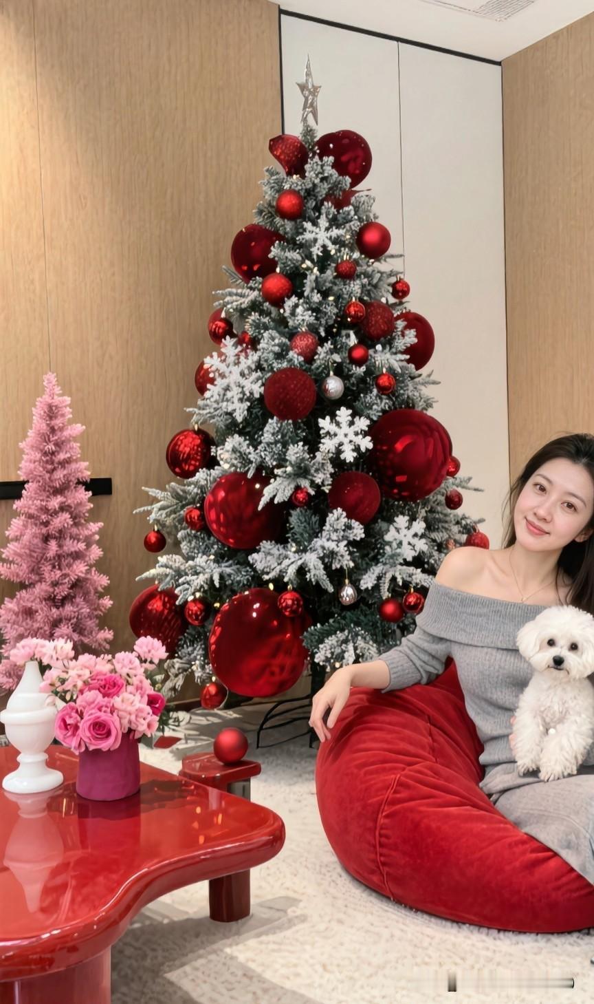 平安夜，
那象征安宁的钟声，
其实并非来自虚无。
它更像是一种提醒，
我们感受到