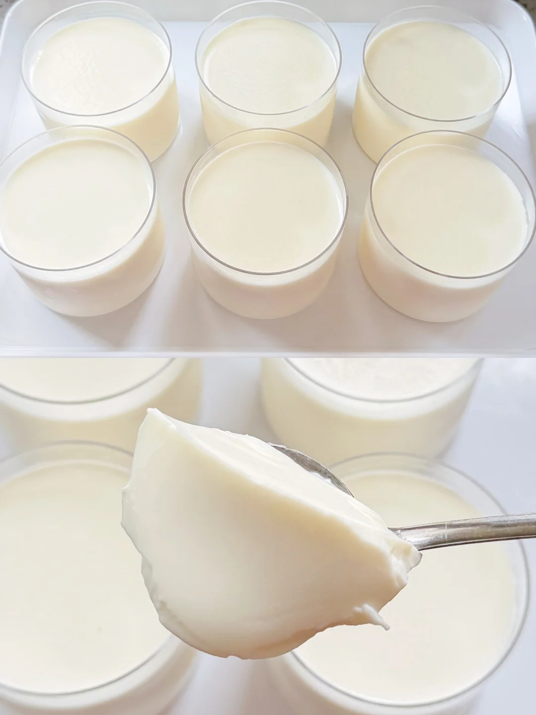 免烤箱🔥嫩滑Q弹奶香味十足的原味奶冻