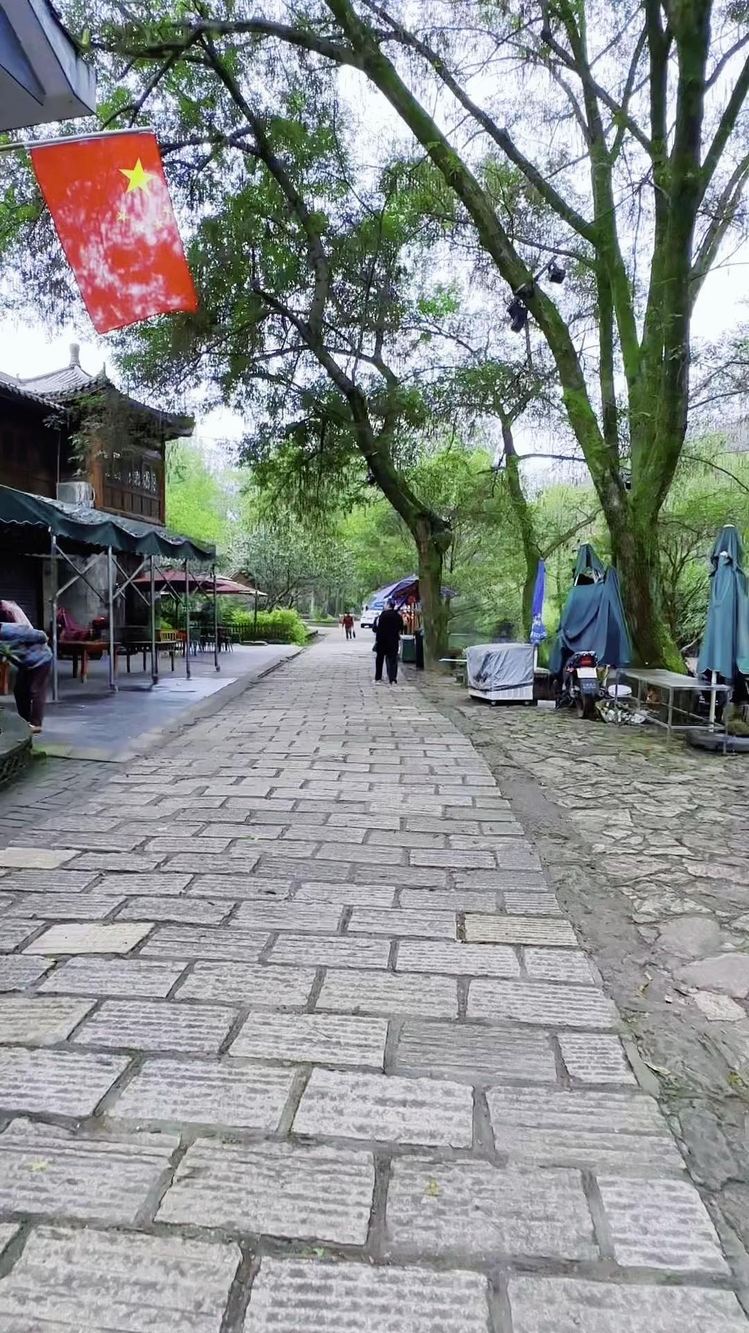 青砖黛瓦白墙木门，每栋房子都像从画里走出来的。没有商业化的喧嚣，只有老村落特有的