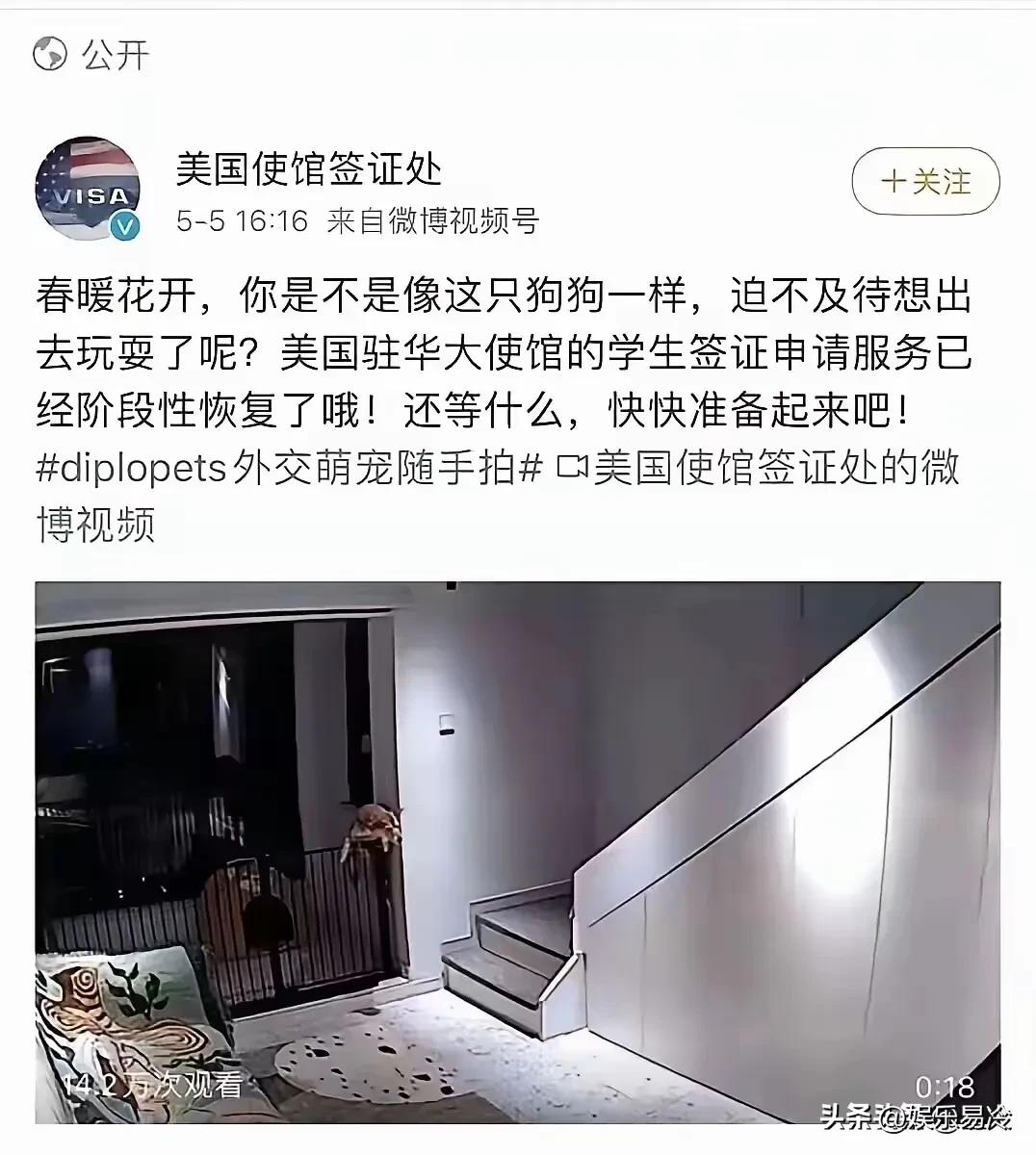 美国大使馆嘲讽去办签证的人是狗狗，果然在美国眼里，想去美国的殖人、润人就是狗狗。