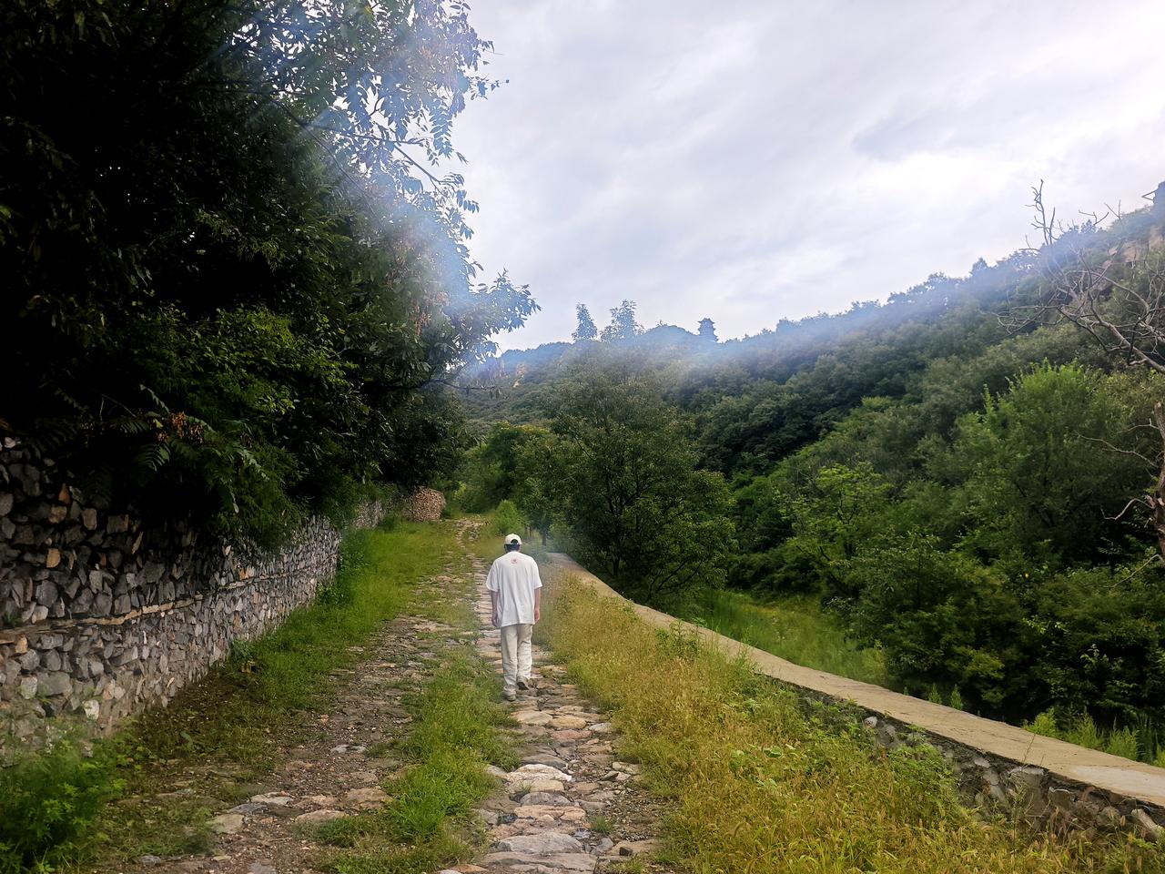 沿着蜿蜒的古道，向青山深处走去。

古树枝干苍劲，浓荫蔽日，老屋静静伫立，墙面斑