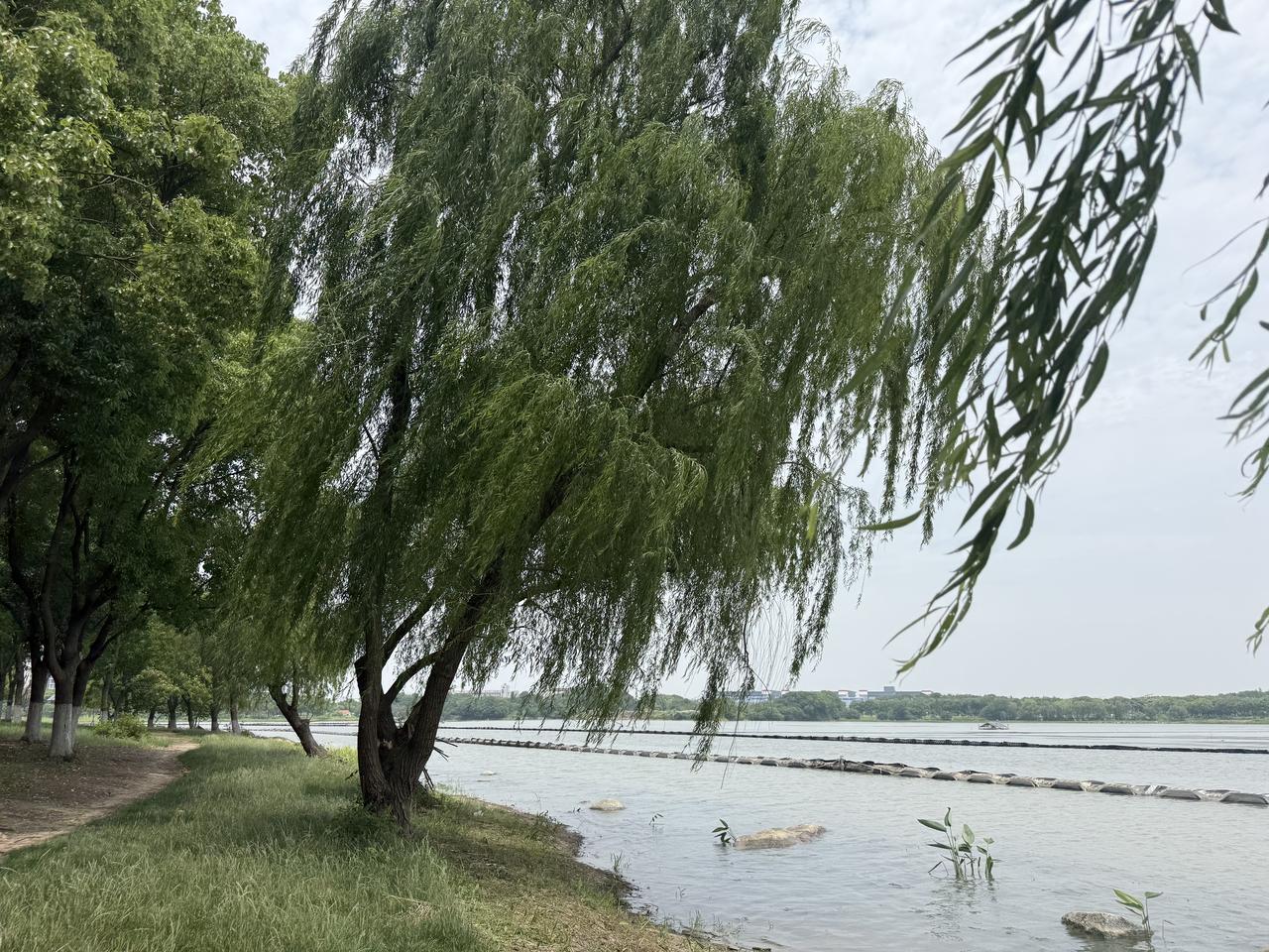在毛主席身边工作的人，以及跟随毛主席坚持为人民服务的人，无不受到毛主席俭朴的生活