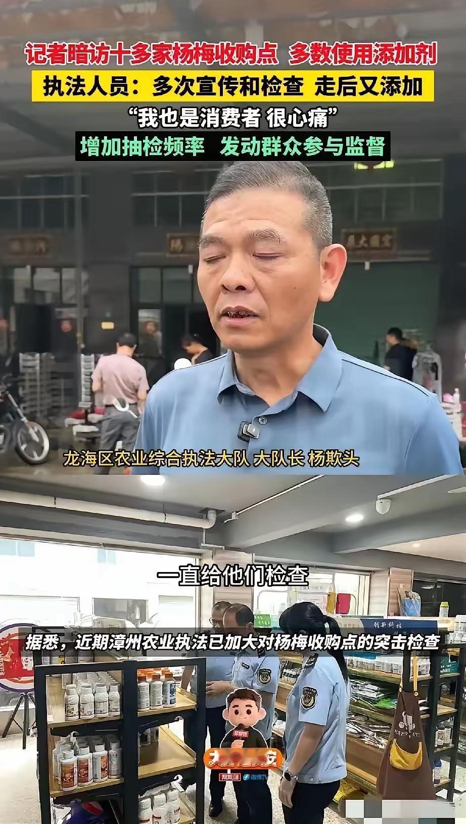 这下好了，不仅传出了漳州，估计都传到全国了吧，怕是要上央视新闻了吧！漳州杨梅这事