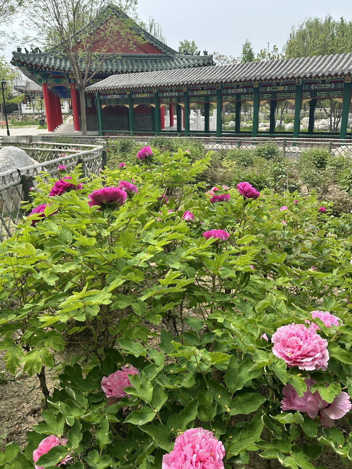 我的今日状态：😁轻松愉快
我这里的天气：🌤️多云