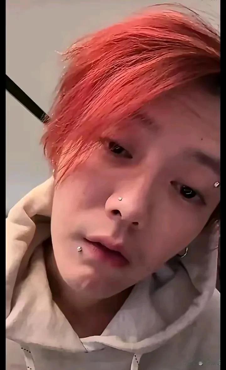 鹿晗这是失恋了吧，
醉酒，纹身，打耳钉，鼻钉，染发…
半夜开直播骂人竖中指，
种