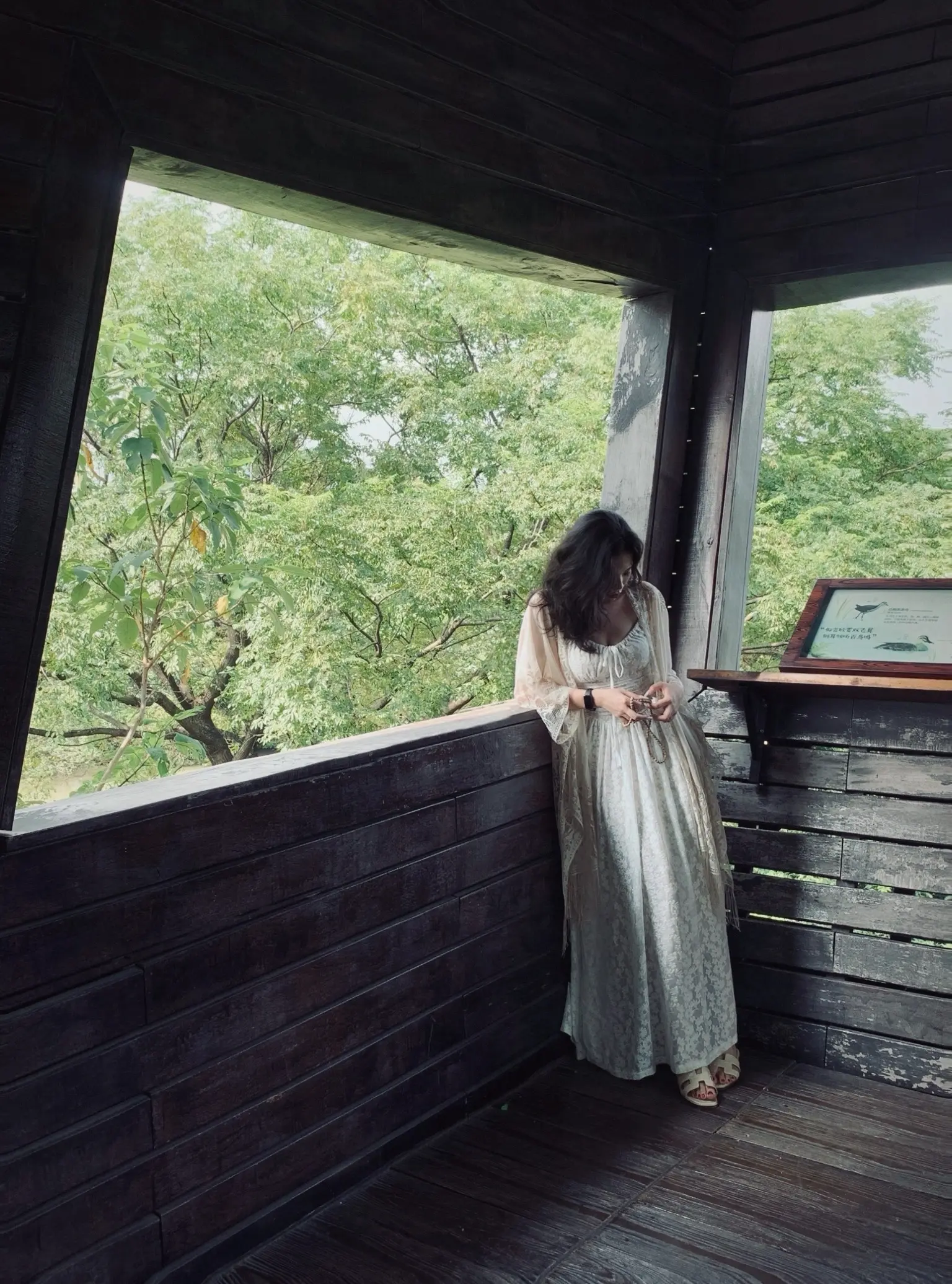 原来你不是木讷的树 也会为我澎湃