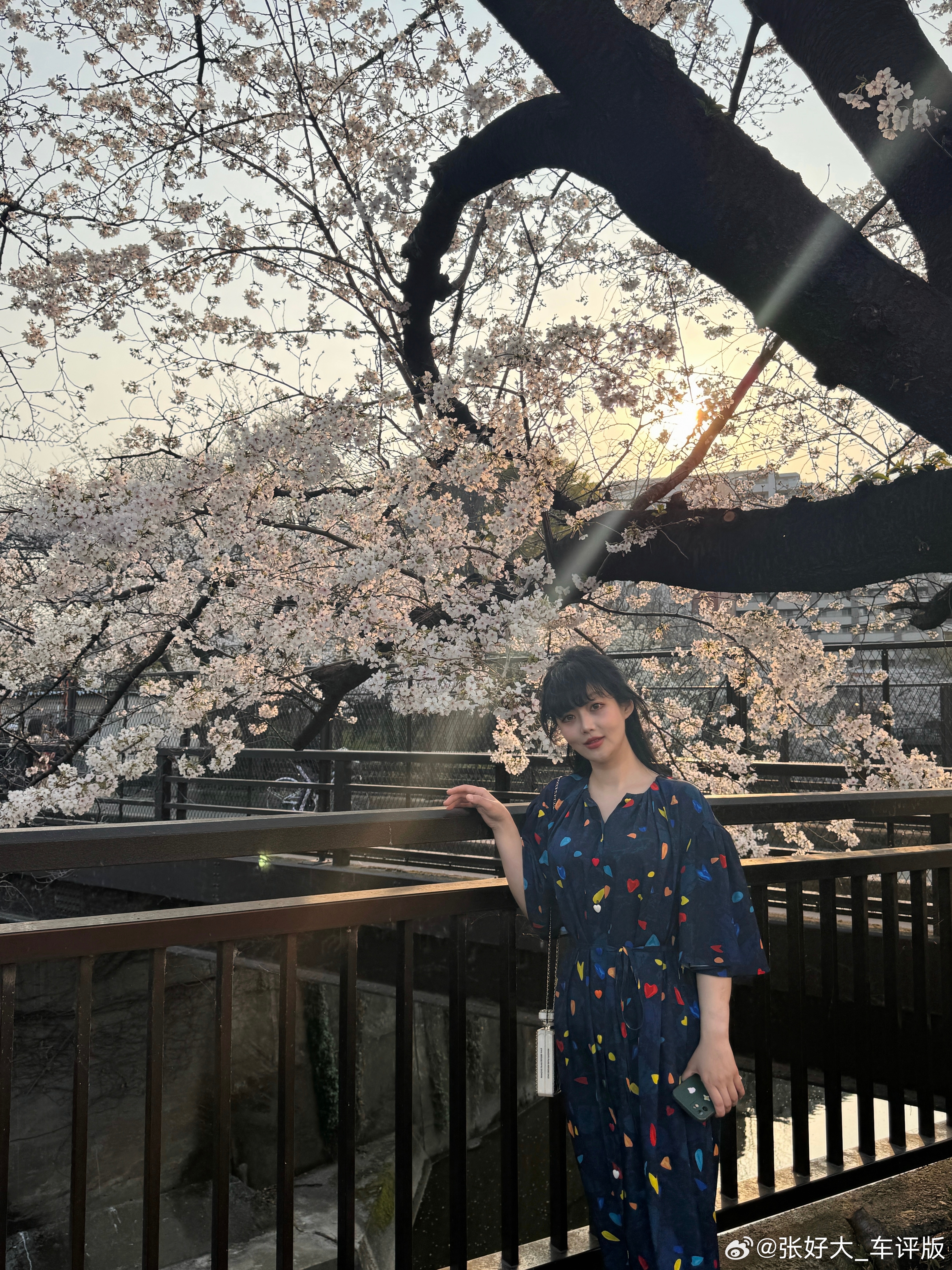 老李拍照已经很努力了。难出片可能是我的问题。 