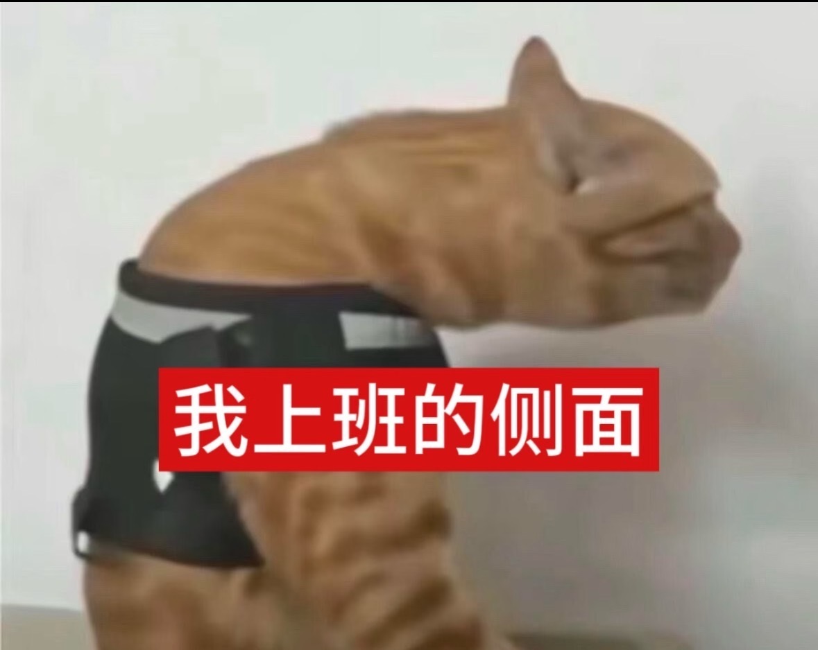 感觉很多网络帐户，都在用自己的土眼睛看世界，用自己的土嘴唠一些土嗑。除了人云亦云