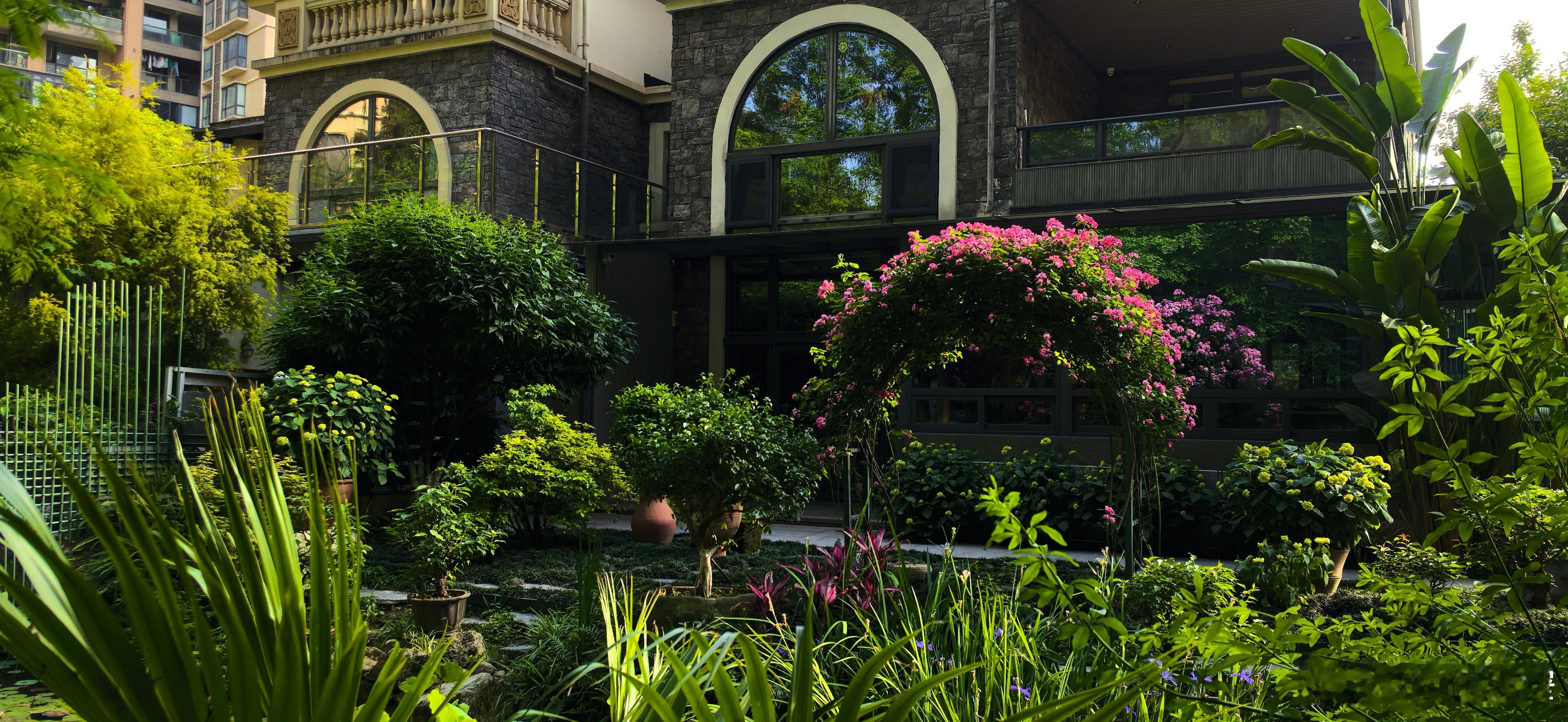 宽窄思语 推门是高楼，转身是深院。粉紫色的花伞，是春天留给石头的最后一个梦。你俯