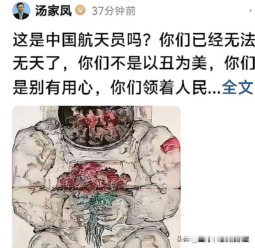 这是中国航天员吗？你们已经无法无天了，你们不是以丑为美，你们是别有用心，你们领着