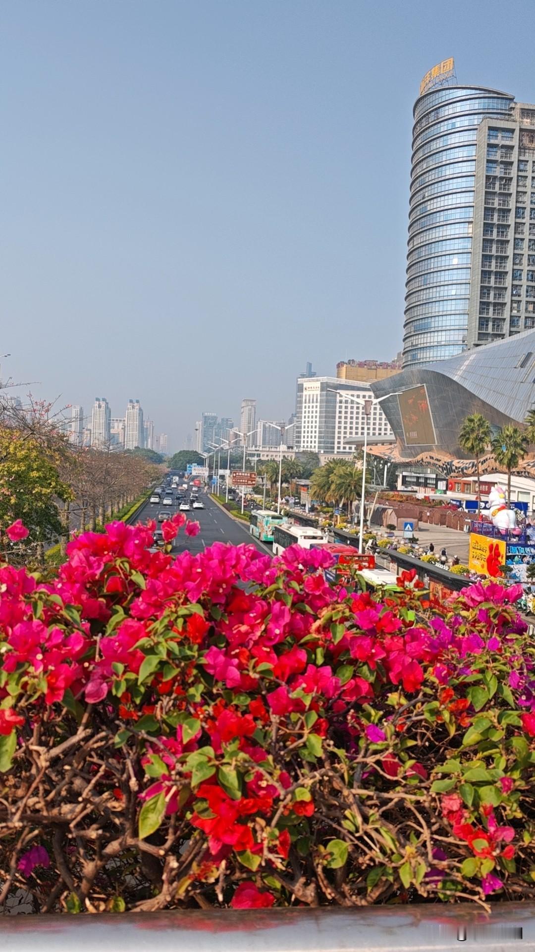 今年冬天的不同