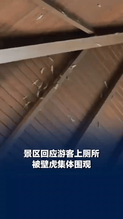 海南三亚一名女游客在森林公园游玩时，遇到了一场特别又有趣的经历。她在景区公厕如厕