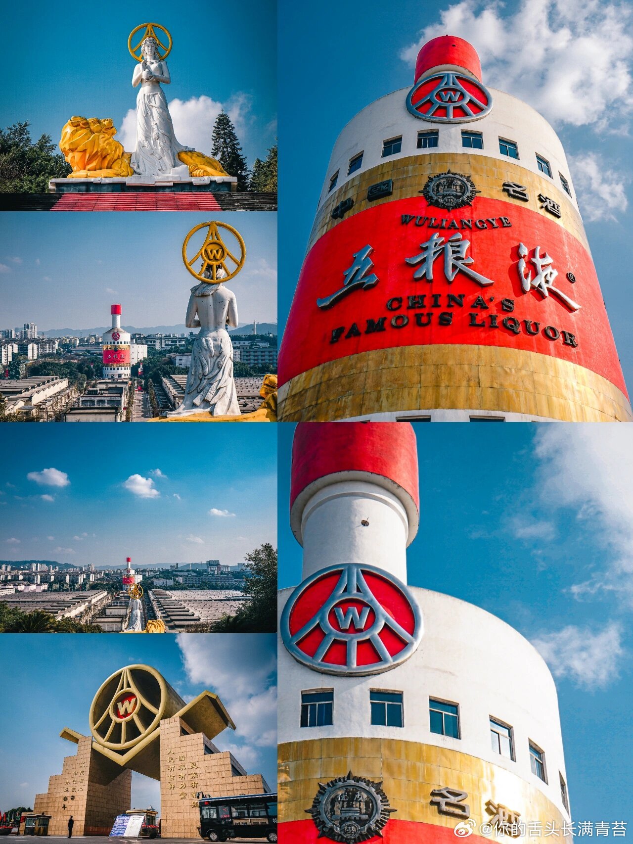 五粮液抗血栓？ 2022年，一篇论文登上了Nature子刊《npj Scienc