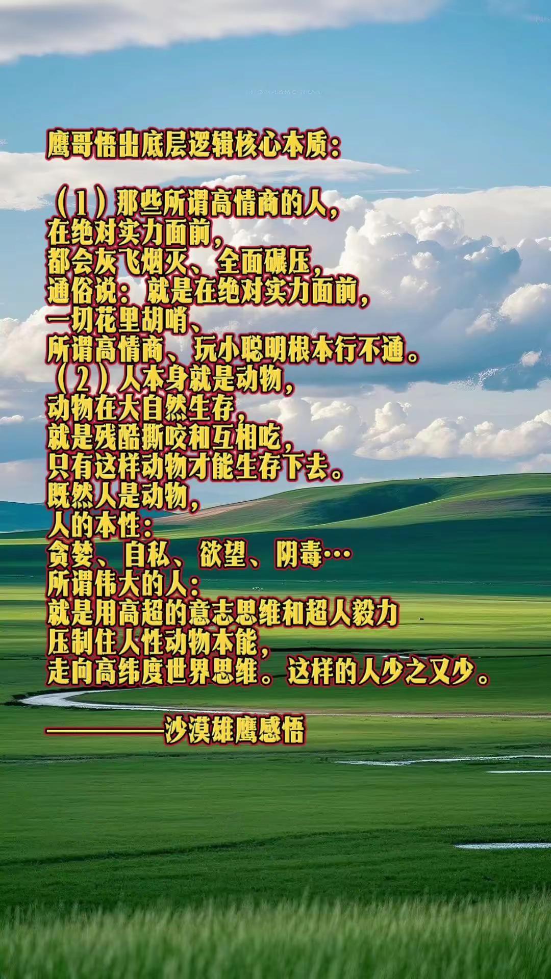 沙漠雄鹰感悟！