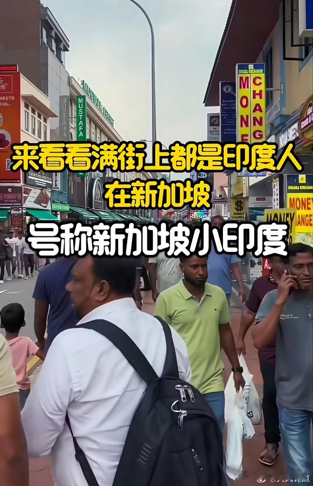 印度人喜欢新加坡，
有这个能力的印度人都往新加坡去了，
新加坡的大街小巷现在一半