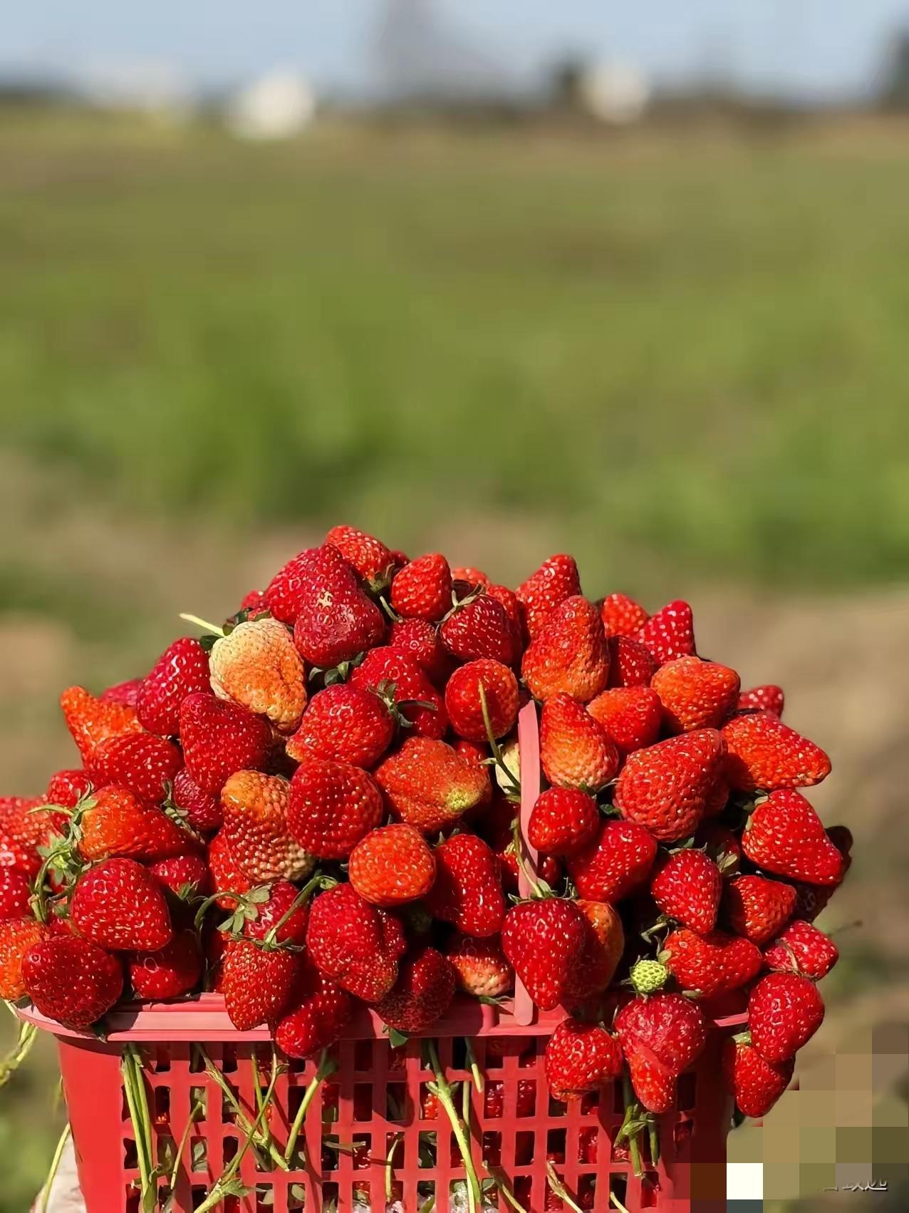 夫妻亲密关系，从来都是婚姻最真实的晴雨表。
 
很多人不好意思说，但它确实影响着