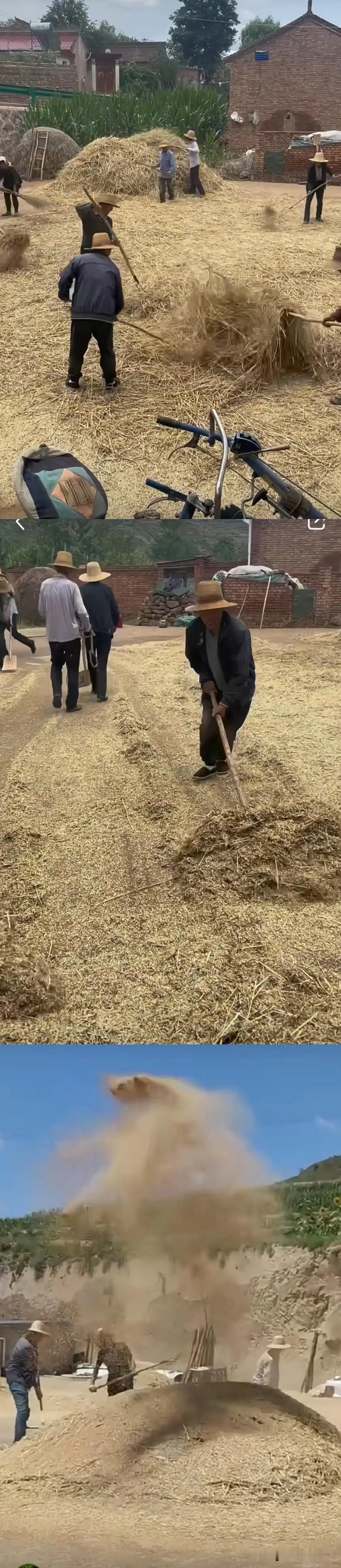 记忆中的麦收！

那时候，麦子金黄一片，热得人心焦。天刚蒙蒙亮，大人们就拿着镰刀