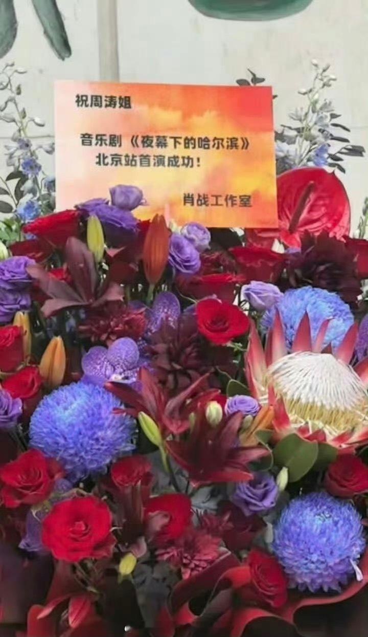 肖战给周涛姐音乐剧《夜幕下的哈尔滨》送花篮，之前周涛曾经看了肖战的话剧《如梦之梦