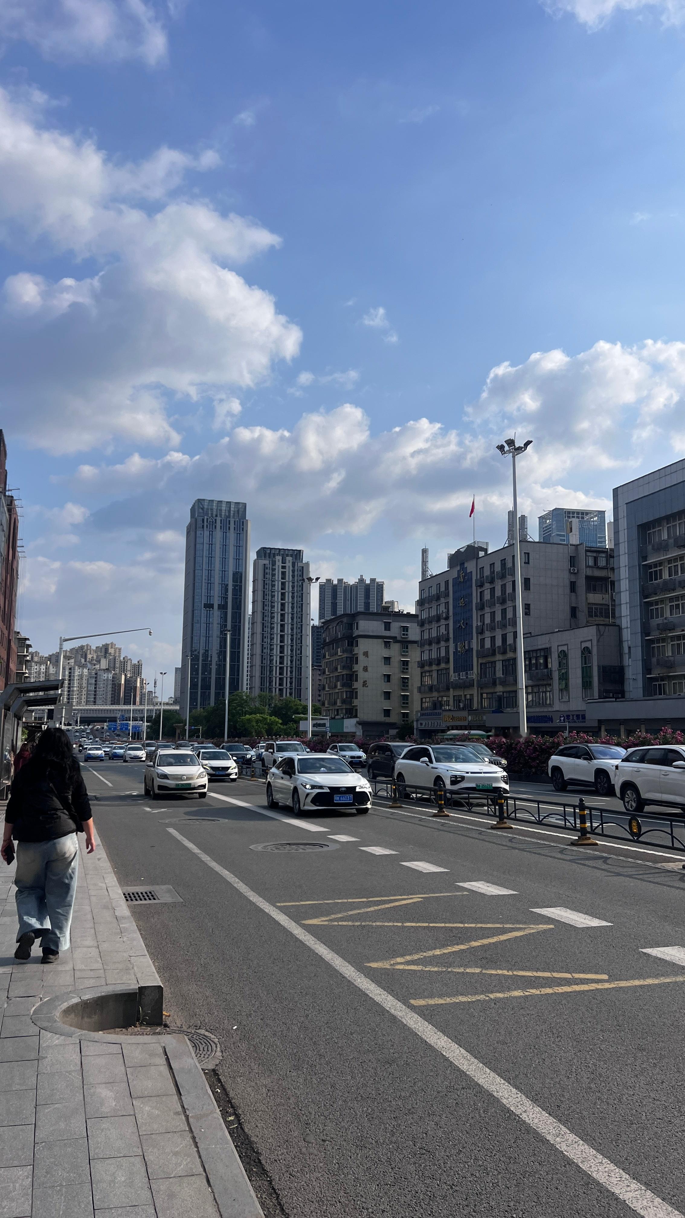 这个栅栏上的花，真的是一夜就开吗？花儿与少年