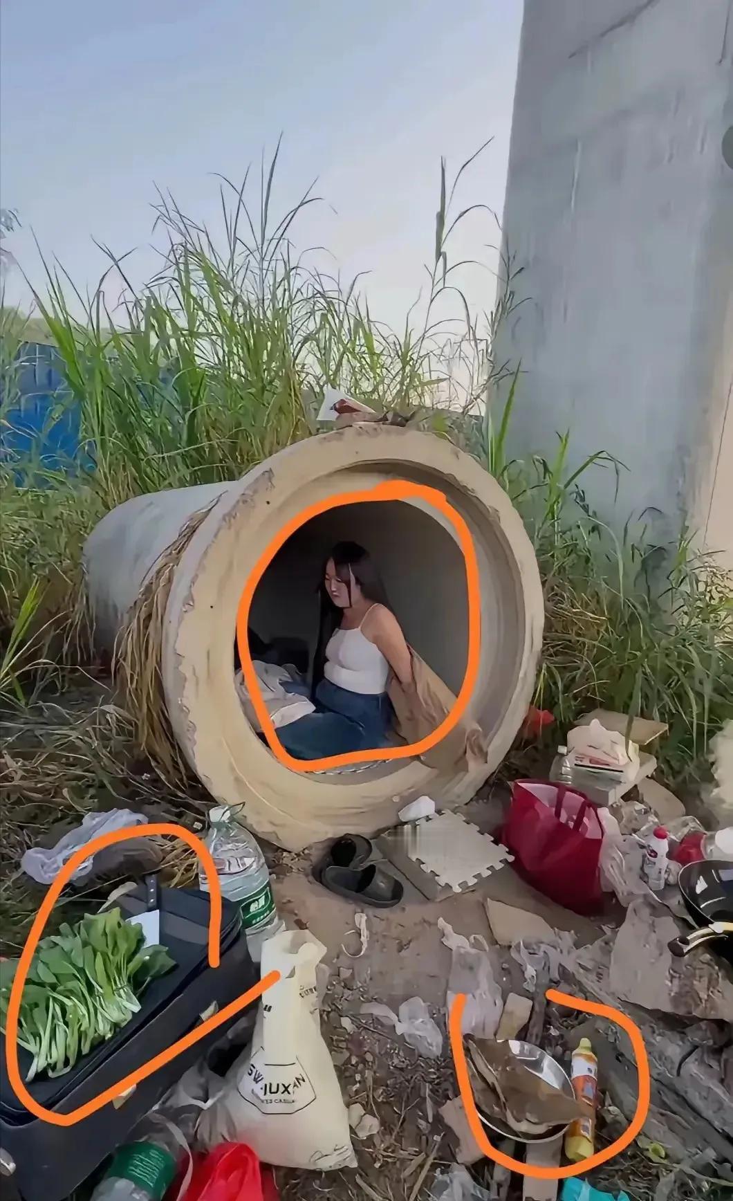 大千世界，无奇不有！在一处隐蔽角落，一根直径一米多粗的废弃地下水泥管子，竟成了一
