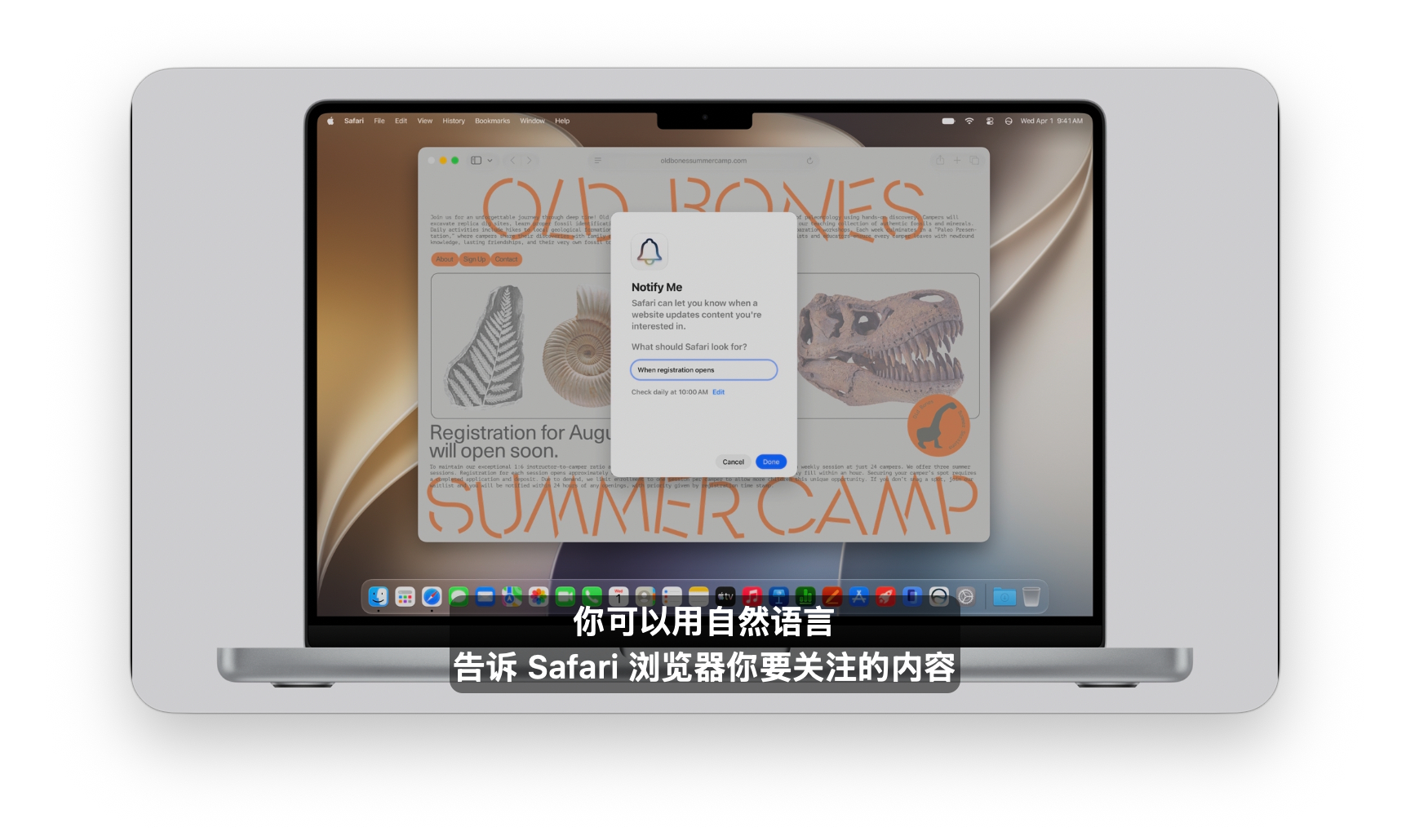 就我个人而言，Safari近几代对于网页标签的设计，是我开始依赖Chrome的重