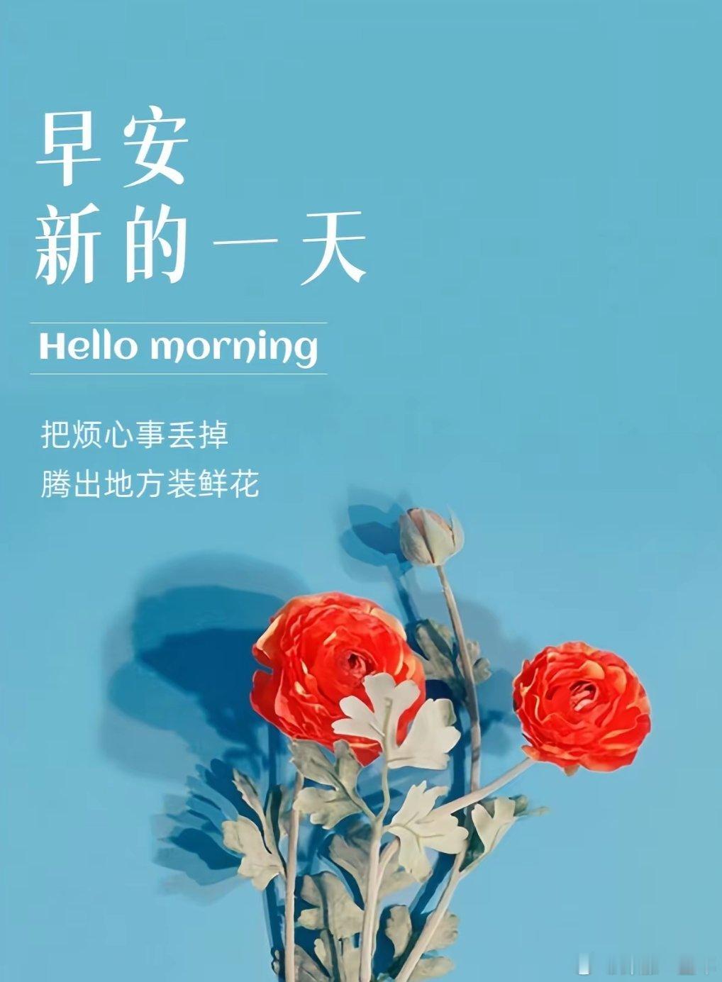 早上好[给力][666] ​​​